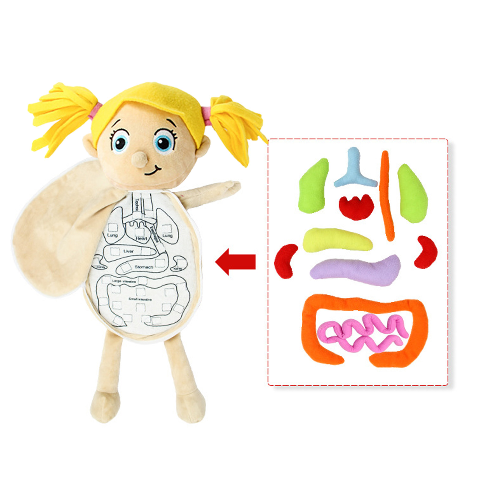 子供のための3D装飾的な解剖学,教育玩具,パズル人形,人体の - Human Body Puzzle のレビューと価格