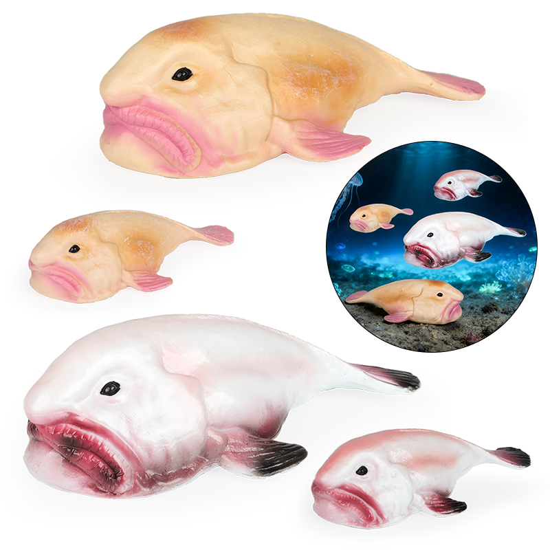 Oenux オーストラリア深海魚ブロブフィッシュ サイクロル - Kids Education In Australia のレビューと価格