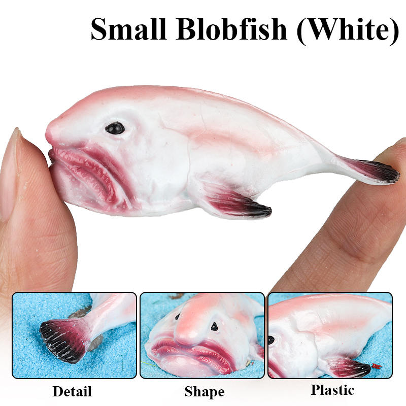 Oenux オーストラリア深海魚ブロブフィッシュ サイクロル - Kids Education In Australia のレビューと価格