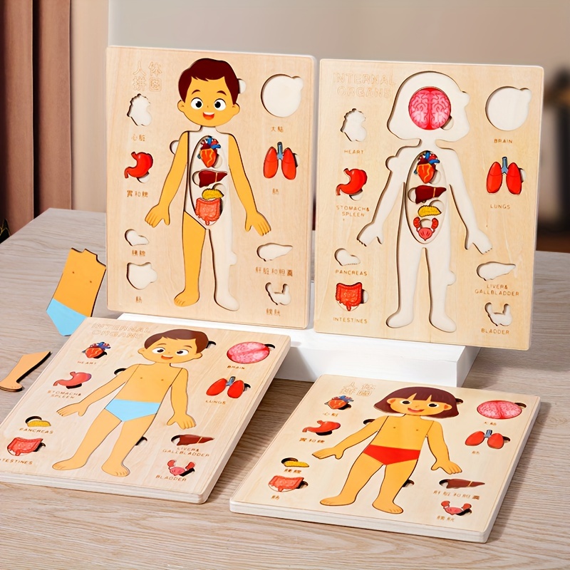 子供のための木製モンテッソーリ教育ゲーム,人体パズル,解剖学 - Human Body Puzzle のレビューと価格
