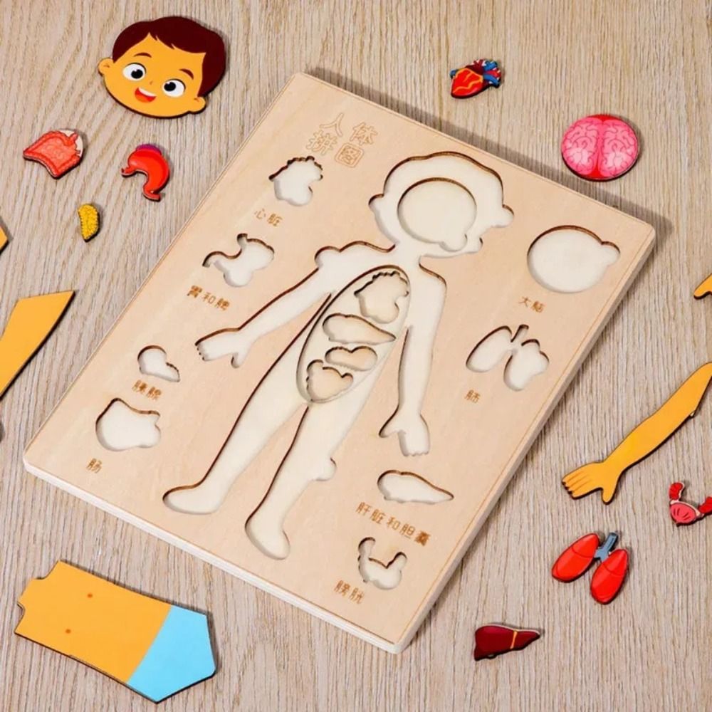 新しい学習ボード モンテッソーリパズル 木製教育早期教育ゲー - Human Body Puzzle のレビューと価格